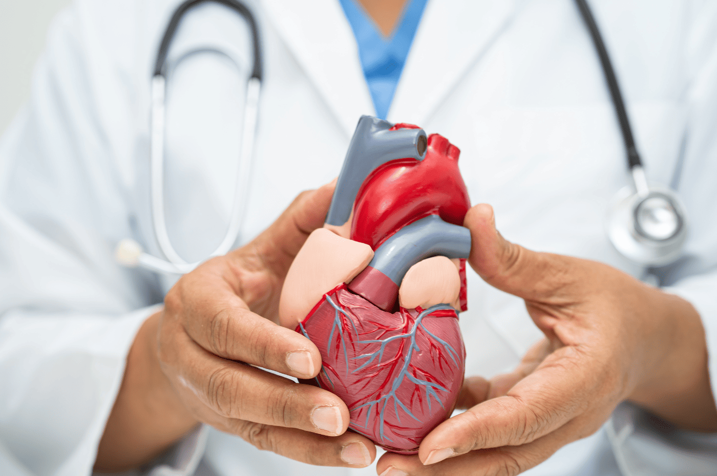 Vein health’s connection to cardiovascular health in weston.